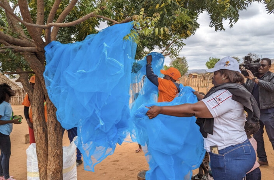 DPI for Public Health Launches in Mozambique