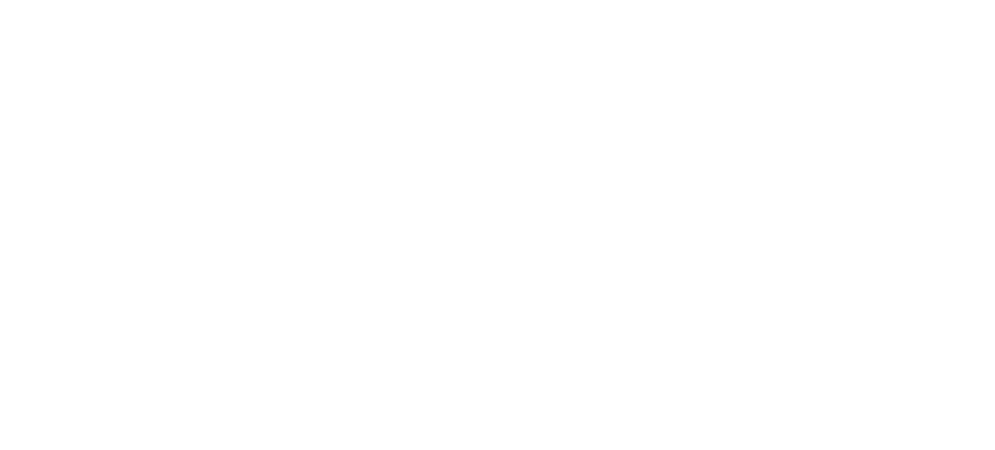 logos-implementation-partners_13